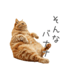 太ってるし口の悪い猫【面白い】（個別スタンプ：25）
