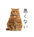 太ってるし口の悪い猫【面白い】（個別スタンプ：28）