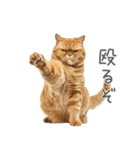 太ってるし口の悪い猫【面白い】（個別スタンプ：29）