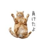 太ってるし口の悪い猫【面白い】（個別スタンプ：30）