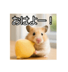 食いしんぼうなハムスター（個別スタンプ：1）