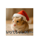 食いしんぼうなハムスター（個別スタンプ：10）