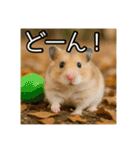 食いしんぼうなハムスター（個別スタンプ：27）