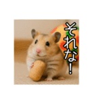 食いしんぼうなハムスター（個別スタンプ：28）