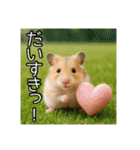 食いしんぼうなハムスター（個別スタンプ：30）