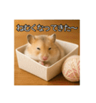 食いしんぼうなハムスター（個別スタンプ：31）