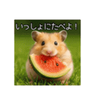 食いしんぼうなハムスター（個別スタンプ：37）