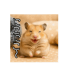 食いしんぼうなハムスター（個別スタンプ：39）