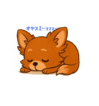 我が家のチワワンコ（個別スタンプ：6）