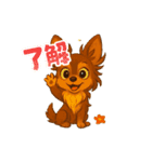 我が家のチワワンコ（個別スタンプ：8）