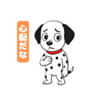 ダルメシアン子犬の喜怒哀楽スタンプVol.1（個別スタンプ：13）