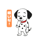 ダルメシアン子犬の喜怒哀楽スタンプVol.1（個別スタンプ：16）