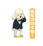 トイプードルの喜怒哀楽スタンプVol.1（個別スタンプ：10）