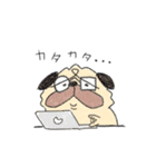 ぱじぃ。3（個別スタンプ：3）