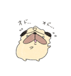 ぱじぃ。3（個別スタンプ：11）