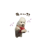ハクくん☆スタンダード（個別スタンプ：16）
