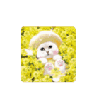 MAYUにゃん【いのちのたすき】（個別スタンプ：14）