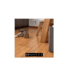 変な犬 コガキ期（個別スタンプ：1）