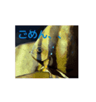 いろんなうみのいきもの（個別スタンプ：5）
