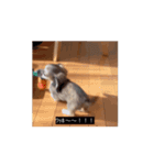 変な長い犬 コガキ期（個別スタンプ：2）