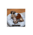 変な長い犬 コガキ期（個別スタンプ：13）