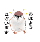 まるぷちスズメちゃん。（個別スタンプ：1）