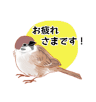 まるぷちスズメちゃん。（個別スタンプ：2）