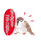 まるぷちスズメちゃん。（個別スタンプ：3）
