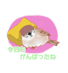 まるぷちスズメちゃん。（個別スタンプ：4）
