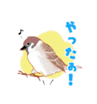 まるぷちスズメちゃん。（個別スタンプ：6）