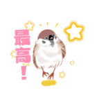 まるぷちスズメちゃん。（個別スタンプ：7）