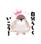 まるぷちスズメちゃん。（個別スタンプ：9）