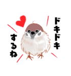 まるぷちスズメちゃん。（個別スタンプ：10）
