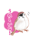 まるぷちスズメちゃん。（個別スタンプ：12）