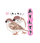 まるぷちスズメちゃん。（個別スタンプ：13）