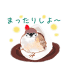 まるぷちスズメちゃん。（個別スタンプ：19）