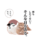 まるぷちスズメちゃん。（個別スタンプ：25）