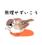 まるぷちスズメちゃん。（個別スタンプ：26）