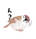まるぷちスズメちゃん。（個別スタンプ：27）