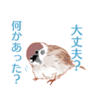 まるぷちスズメちゃん。（個別スタンプ：31）