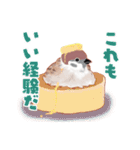 まるぷちスズメちゃん。（個別スタンプ：32）