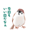 まるぷちスズメちゃん。（個別スタンプ：33）