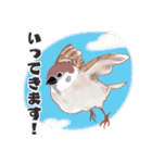 まるぷちスズメちゃん。（個別スタンプ：34）
