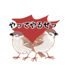 まるぷちスズメちゃん。（個別スタンプ：36）