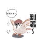 まるぷちスズメちゃん。（個別スタンプ：38）