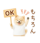 ポジティブな気持ちを伝える☆ポメラニアン（個別スタンプ：1）