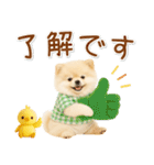 ポジティブな気持ちを伝える☆ポメラニアン（個別スタンプ：2）