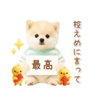 ポジティブな気持ちを伝える☆ポメラニアン（個別スタンプ：5）