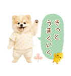 ポジティブな気持ちを伝える☆ポメラニアン（個別スタンプ：8）