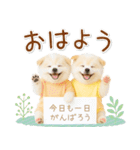 ポジティブな気持ちを伝える☆ポメラニアン（個別スタンプ：9）